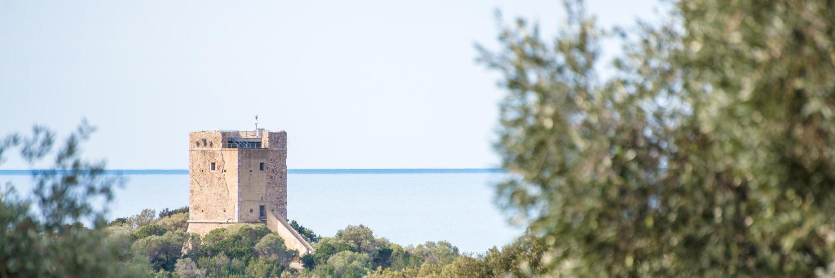 Parco dell'Uccellina